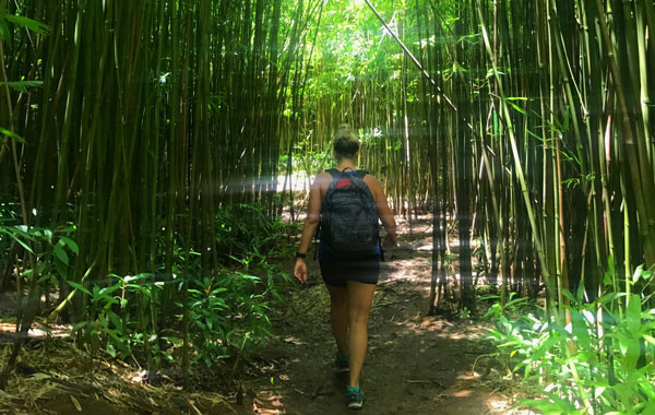 Carin Martens hiking through a bamboo forest.