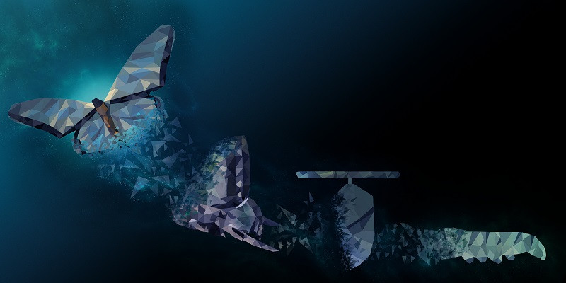 A digital metamorphis of a butterfly.