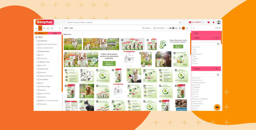 A screenshot of Beaphar's Canto DAM library displaying nearly 49,000 assets including pet product packaging, campaign imagery, and marketing materials for their parasite treatment line, with tag-based filtering options in the right sidebar