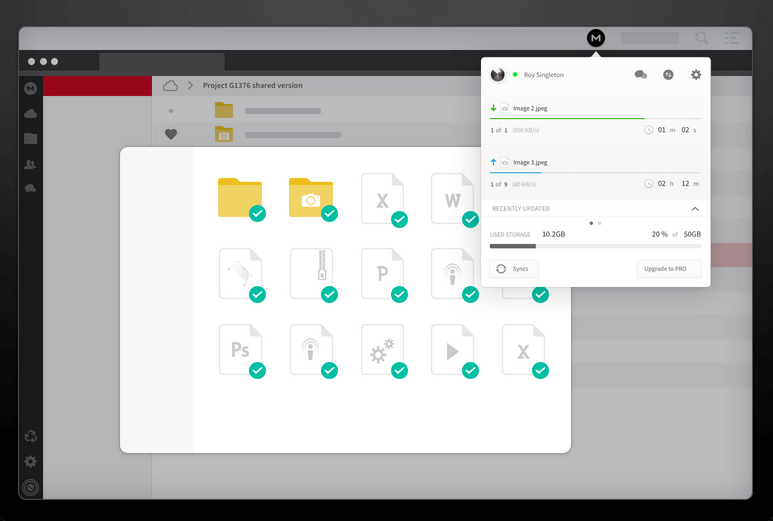 A screenshot of the MEGA interface.