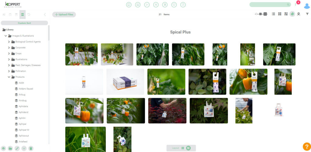 Screenshot of the Canto media library of Koppert.