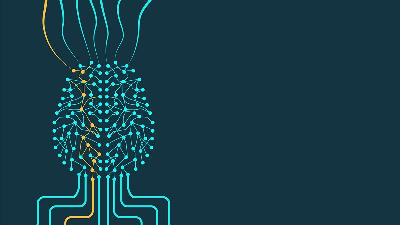 A brain mapped out digitally.