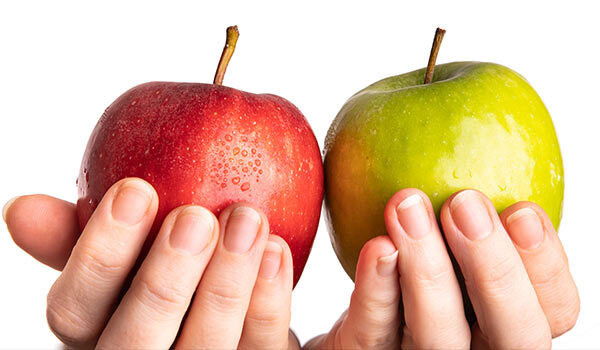 Someone comparing different colored apples.