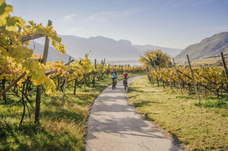 IDM South Tyrol-Alto Adige / Thomas Monsorno Two people riding bikes through a vineyard, the leaves are yellow and the weather is nice, a mountainous background lay behind