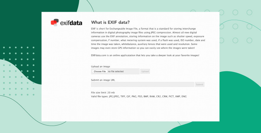 Screenshot of photo metadata viewer EXIF Data over a green background.