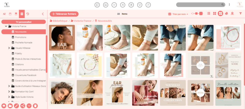 Victoria's digital asset management system with images of anklets and earrings. 