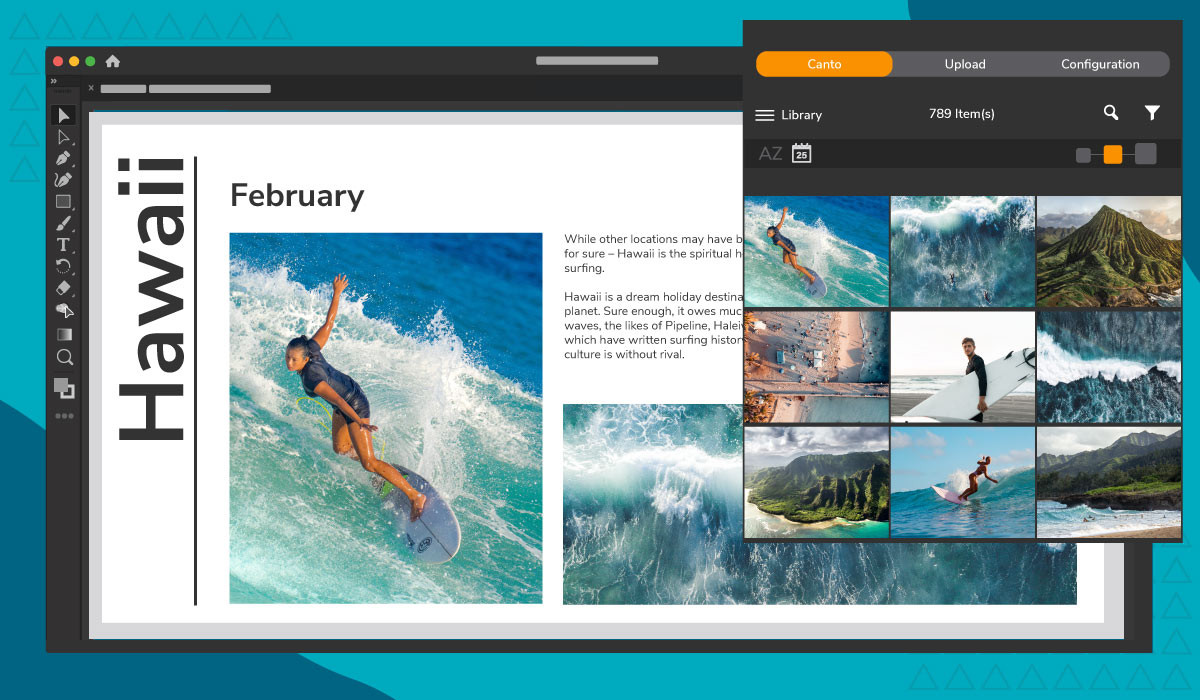 Canto connector in Adobe Creative Cloud showing image options for surfing layout.