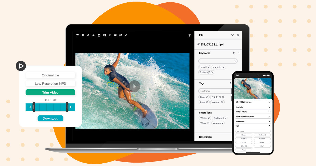 Webinar weekly demo - EMEA
