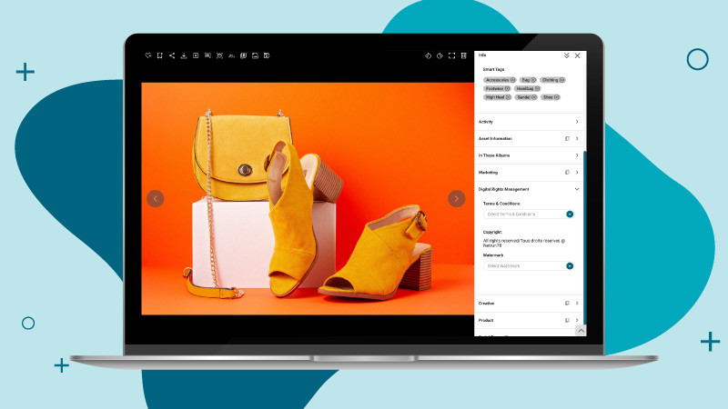 Digital asset management platform providing options for copyright or image watermarking